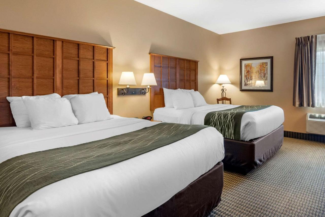 Comfort Inn & Suites Chillicothe Eksteriør billede