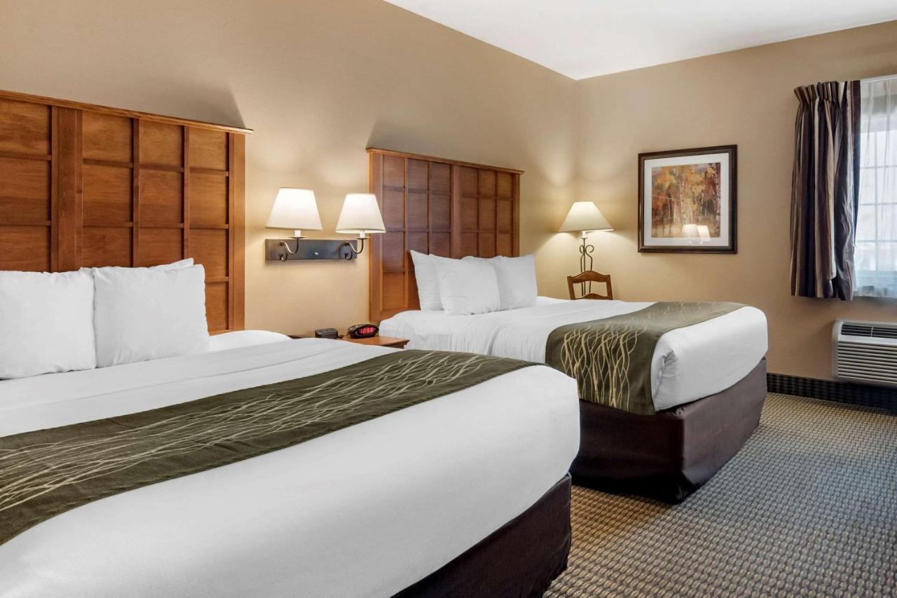 Comfort Inn & Suites Chillicothe Eksteriør billede