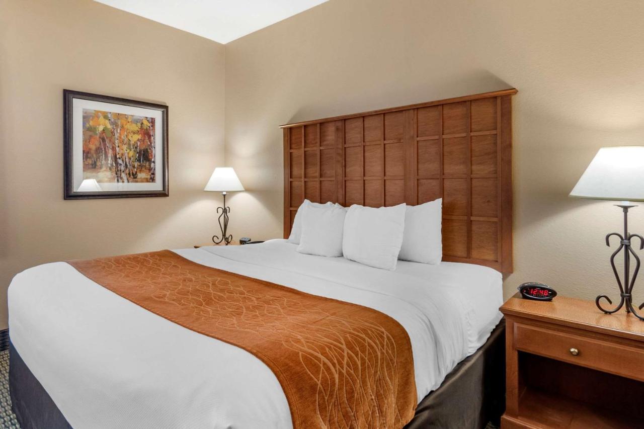 Comfort Inn & Suites Chillicothe Eksteriør billede